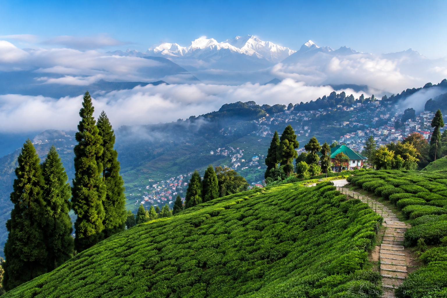 Discover the Beauty of Darjeeling: A Complete Travel Guide